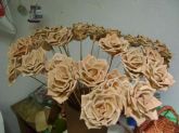 rosa M